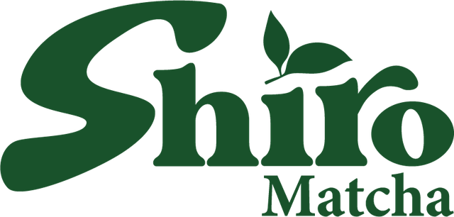 Shiro Matcha